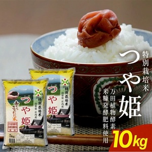 SD0261　令和7年産【精米】特別栽培米 つや姫(万田植物酵素・米糠醗酵肥料使用)　10kg(5kg×2袋) 《農産物検査員おすすめの庄内米》 SY