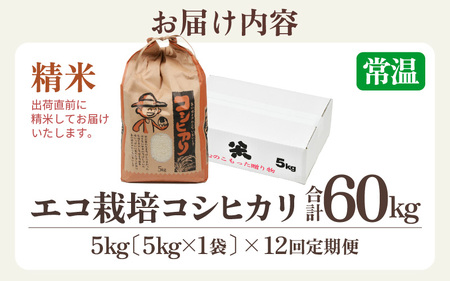 【先行予約】【令和8年産 新米】エコ栽培コシヒカリ  白米5kg×12回 計60kg ／ 鮮度抜群 福井県産 こしひかり ご飯 新鮮 白米 ※2026年10月上旬以降順次発送 [aw063-k005]