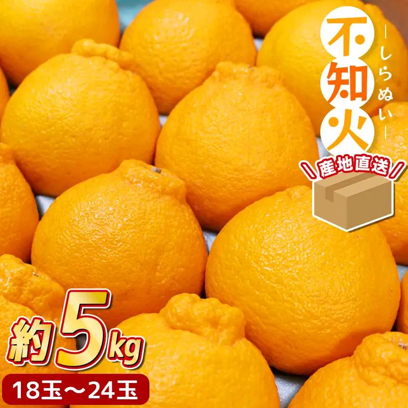 ＼ みかんの名産地 和歌山県産／ 農家直送 不知火 約5kg(18～24玉) ひとつひとつ手選別で厳選【2027年2月中旬～3月下旬ごろに順次発送予定】【hdm002A】
