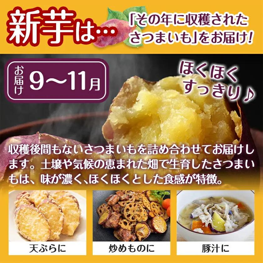 【新芋】芋名人が認めるさつまいも『洗い済み　紅はるか』5.2kg MSサイズ ※9月～11月頃順次発送〔LE-L704-N〕_(都城市) 宮崎県都城産 紅はるか MSサイズ