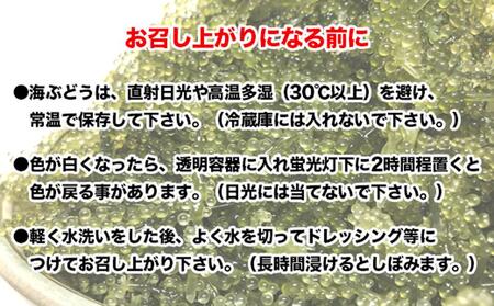 南城市産海ぶどう500g