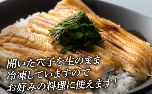 対馬 穴子 開き 800g《対馬市》【海風商事】アナゴ 国産 九州 長崎 [WAD012]冷凍 新鮮 あなご 天ぷら もう1品 おかず 肉厚 穴子重 開き 海鮮 魚介 簡単調理 時短 