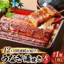 【ふるさと納税】【うなぎや】 【12回定期便】 炭火焼 うなぎの蒲焼き 1尾 【紀州備長炭使用】 鰻 ウナギ 丑の日　多治見市[TFO006]