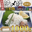 【ふるさと納税】大分県産活じめ鱧（はも）1本物 骨切り切身 たっぷり 1000g 湯引き 天ぷら しゃぶしゃぶ 鍋 魚 海鮮 ＜108-006_5＞