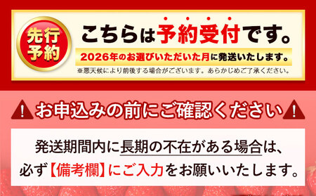 いちご あまおう 先行予約 いちご 大量 540g 選べる発送時期 定期便 フルーツ《2025年3月発送》苺 旬 くだもの 果物 福岡県 鞍手町