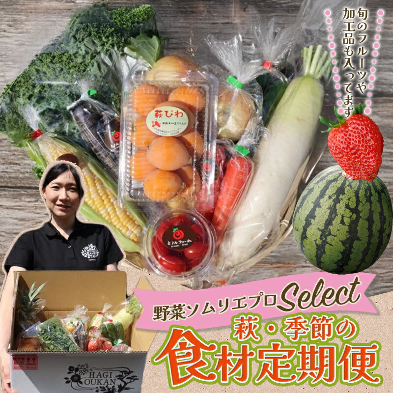 【ふるさと納税】野菜ソムリエプロselect／萩・季節の食材定期便 国産 日本産 食品 食べ物 グルメ 新鮮 食材 食事 料理 おかず 惣菜 お弁当 ご飯のお供 食卓 山口県 萩市 美味しい おいしい プレゼント ギフト 贈り物 人気 おすすめ 贈答用 お祝い お中元