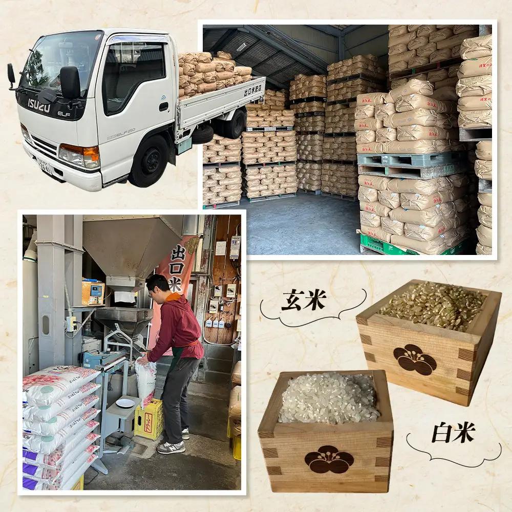 【令和8年産 新米 先行予約】【定期便】近江米きぬむすめ 5kgx3回定期便（精米）※2026年9月～発送