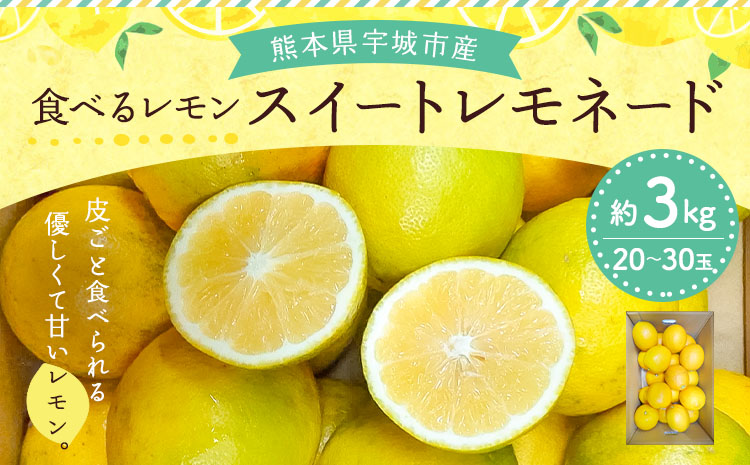 【先行予約】  食べるレモン スイートレモネード 約3kg（20〜30玉）【吉田レモニー】【2025年12月上旬-2026年6月上旬発送】