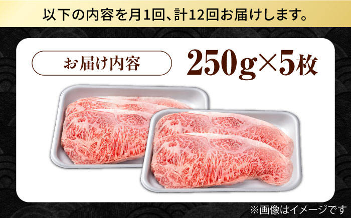 【12回定期便】佐賀県産 黒毛和牛 贅沢 サーロイン ステーキ 250g×5枚（計1250g）【株式会社いろは精肉店】佐賀産和牛 牛肉 [IAG095]
