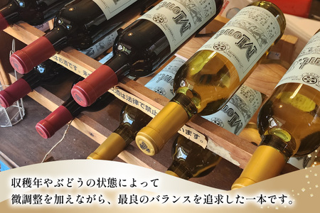 ふるなび限定 ワイン Mont.8 甲州 辛口 白ワイン 720ml 1本 Wine わいん お酒 酒 洋酒 白 辛口 能見園河西ワイナリー  [まあめいく 山梨県 韮崎市 20745222] 