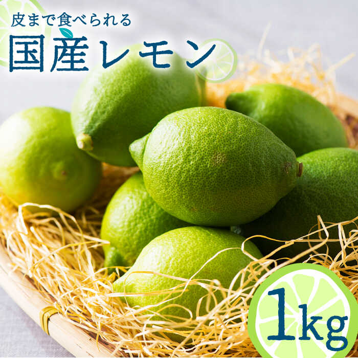 【ふるさと納税】【2025年10月〜発送】国産レモン 1kg / レモン れもん 檸檬 国産 ユーレカ 果物 フルーツ 柑橘 / 南島原市 / 長崎県農産品流通合同会社 [SCB016]