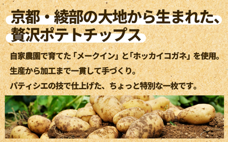 ヒロサンポテト ポテトチップス 5種アソート 10袋