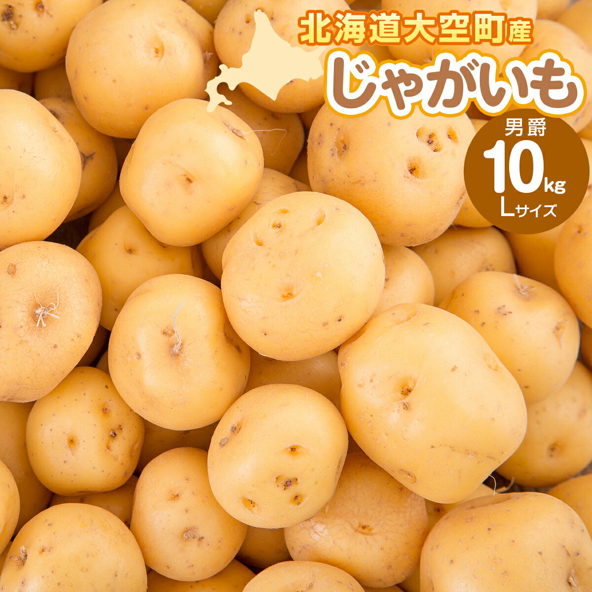 【ふるさと納税】じゃがいも(男爵) Lサイズ 10kg 大空町産【 ふるさと納税 人気 おすすめ ランキング じゃがいも ジャガイモ いも 芋 男爵 10kg L サイズ カレー 北海道産 野菜 旬 北海道 大空町 送料無料 】OSR011