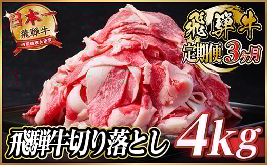 
            ＜毎月定期便＞飛騨牛　切り落とし　約4kg＜冷蔵便＞全3回【4055092】
          