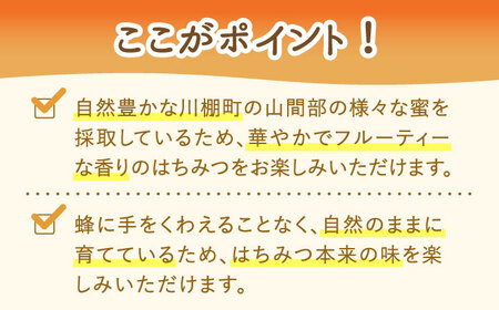 はちみつ 百花蜜 500g / お手頃 一万円 蜂蜜 国産ハチミツ とんがり容器入りはちみつ 長崎県産はちみつ 川棚町産はちみつ 国産蜂蜜 はちみつ 純粋はちみつ 天然成分100％はちみつ 【小佐々養