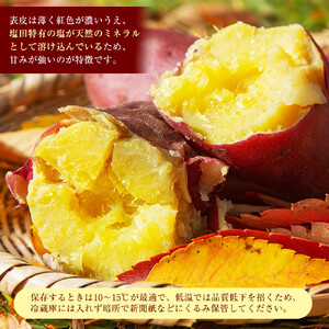 ＜2026年8月下旬以降発送・先行予約＞【訳あり】坂出金時いも　約5kg×2箱　2L～Mサイズ | さつまいも サツマイモ