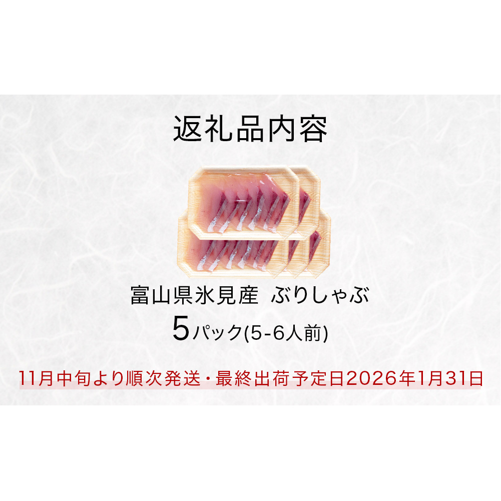 【先行予約】氷見産 天然寒ぶり ぶりしゃぶ 5パック 5-6人前 【2025年11月中旬以降順次発送】 釣屋魚問屋直営 ひみ岸壁市場_イメージ5
