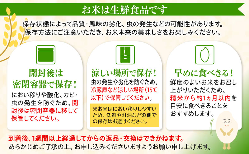 《令和7年産》宮崎県産コシヒカリ 合計20kg(5kg×4袋) お米 精米 新米