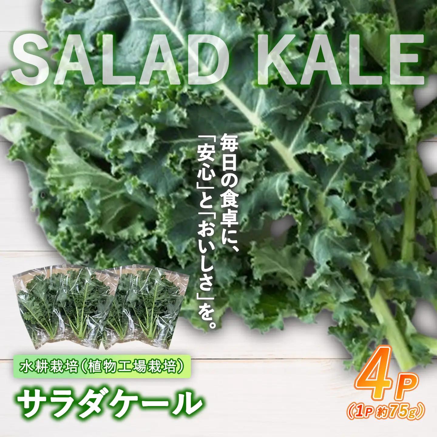 【無農薬】サラダケール 300g（約75g×4P）ケール