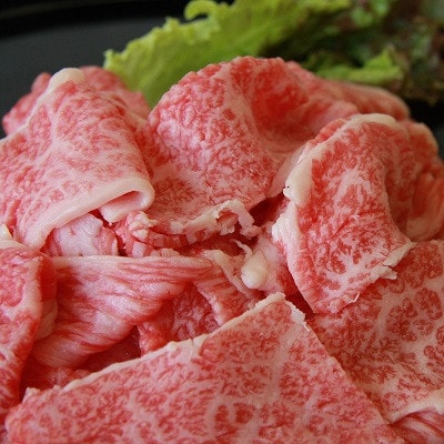 【毎月定期便】奥出雲和牛切落し400g(飯南町)全5回【配送不可地域：離島】