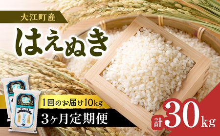 《3ヶ月定期便》大江町産 はえぬき 10kg(5kg×2袋)×3ヶ月(計30kg)【山形県産】 001-T24