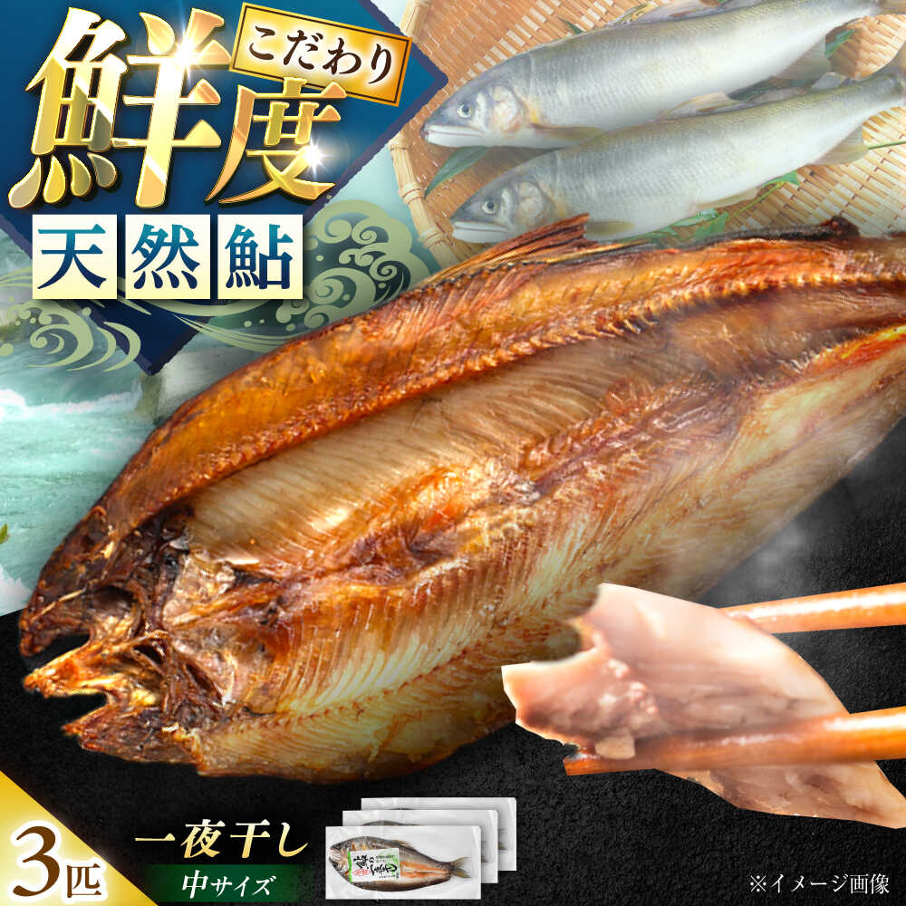 【ふるさと納税】天然あゆの一夜干し 中 3匹セット / あゆ 天然 鮎 あゆ 一夜干し 干物 保存 プレゼント お取り寄せ グリル 塩焼き /恵那市/恵那物産館[AUFS001]