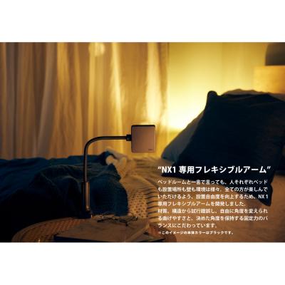 ふるさと納税 川崎市 ベッドルームプロジェクターNX1　シルバー |  | 03