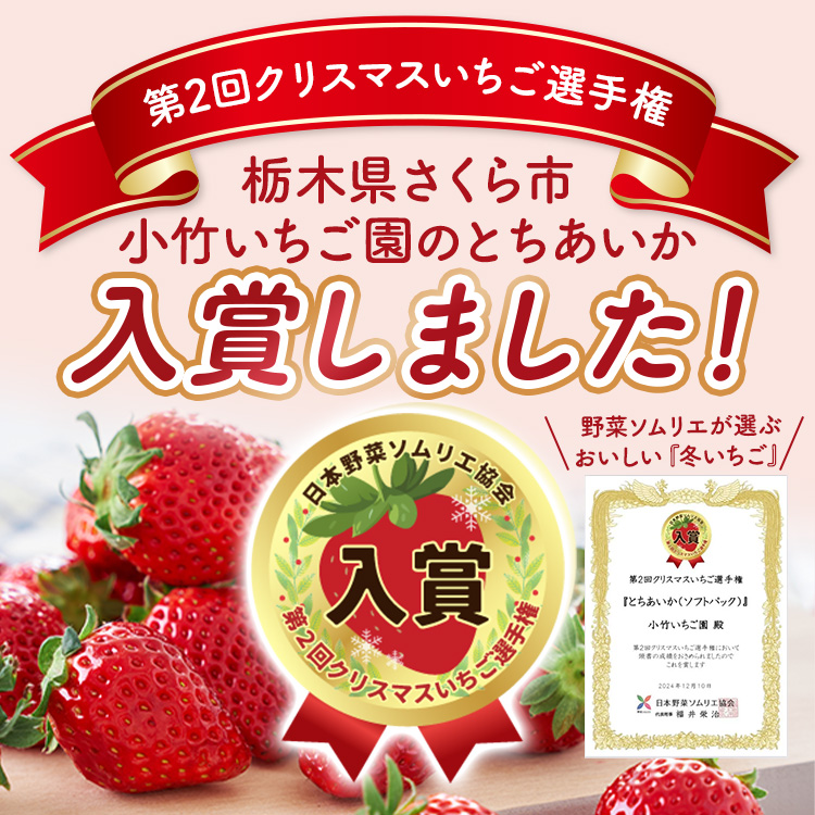 満足3種食べ比べセット（ミルキーベリー、スカイベリー、とちあいか）400g×2パック 800g｜先行予約 数量限定 ※2025年2月上旬～4月中旬頃に順次発送予定