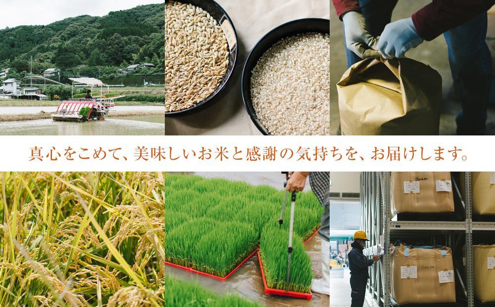 長崎県産 ひのひかり 10kg（5kg×2袋）セット