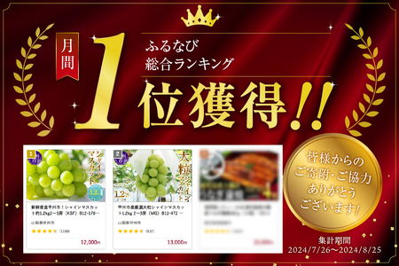 新鮮産直甲州市！シャインマスカット約1.2kg2～3房（KSF）B12-170 【山梨県 シャインマスカット フルーツ シャインマスカット 定期便 大粒 シャインマスカット 旬 フルーツ シャインマス