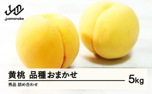 
            《先行予約》有袋黄桃 秀品 品種おまかせ 化粧箱入り 約5kg 令和7年産 2025年産 山形県産 果物 ※沖縄・離島への配送不可 ns-mootx5
          