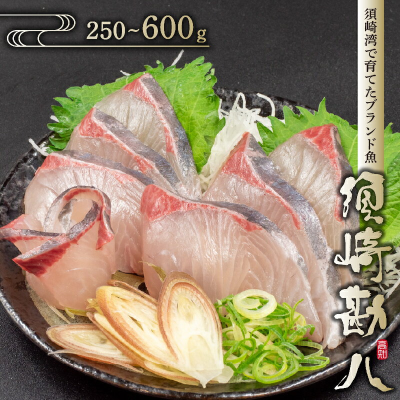 【ふるさと納税】 勘八 環八 カンパチ かんぱち 250g ～ 450g 1節 600g 2節 ブランド 魚 鮮魚 海鮮 刺身 さしみ 焼き魚 料理 簡単調理 背 腹 セット 下処理有 高知県 須崎市