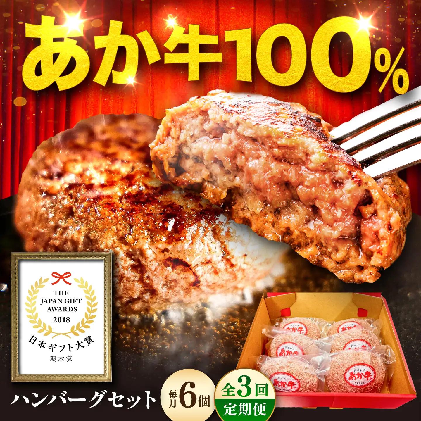 全3回定期便 熊本和牛 あか牛 ハンバーグ セット 約120g×6個 BHAS033 ハンバーグ