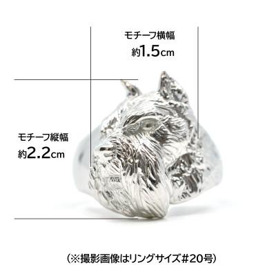 ふるさと納税 南アルプス市 純プラチナ製(Pt999) 『シュナウザー』リング 17号 |  | 01