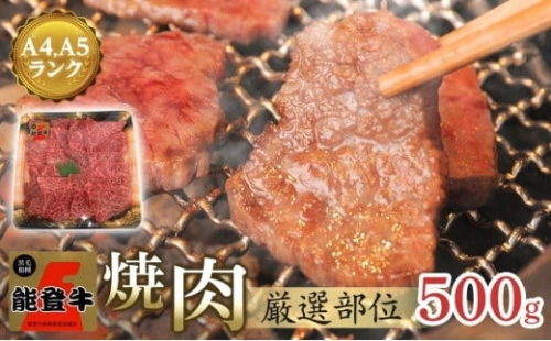 【復興支援】【A4・A5】能登牛 焼肉用厳選部位 500g
