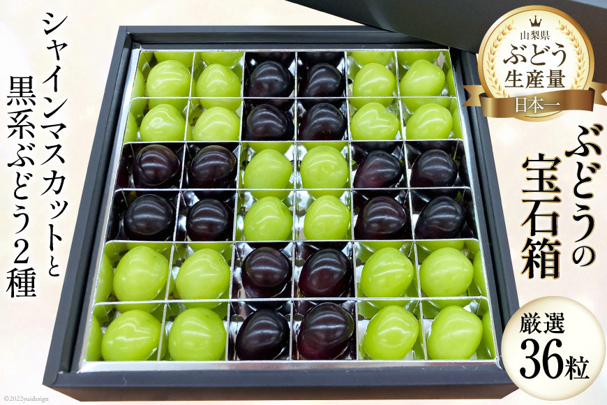 
            【2026年発送】粒ぶどう シャインマスカット 2026 予約 シャイン 山梨 やまなし ぶどうの宝石箱 厳選 36粒 穂坂 黒ぶどう ぶどう ブドウ 葡萄 果物 粒 くだもの フルーツ 期間限定 季節限定 冷蔵 産地直送 山梨県産 [梨北農業協同組合 山梨県 韮崎市 20743249]
          