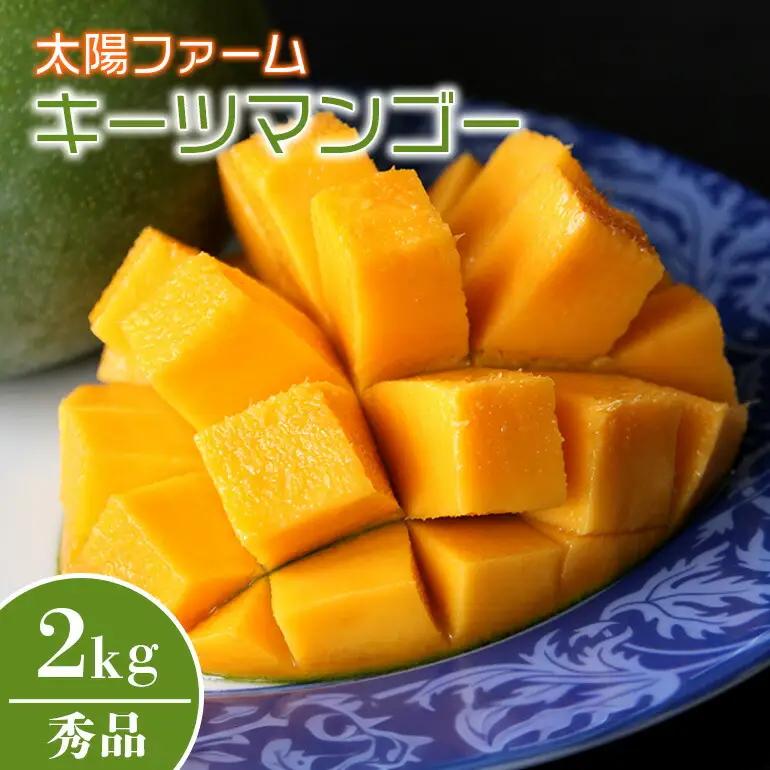 【先行予約 2026年 発送】 農家直送 太陽ファームの キーツマンゴー 2kg （ 秀品 ） 沖縄 マンゴー 緑色 希少 7月 8月 旬 夏 限定 産地直送 mango 沖縄マンゴー 2キロ 2～7