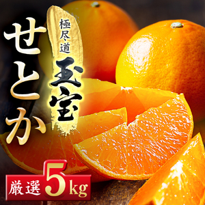 「玉宝ブランド」【せとか】5kg【G64-62】【1621005】 YWTY051