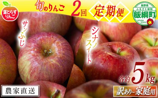 旬のりんご 【 定期便 】 家庭用 〜 訳あり 5kg × 2回 葉とらずりんご フレッシュフルーツミカズキ 沖縄県への配送不可 2025年10月中旬頃から2025年12月中旬頃までお申込み順に発送予定 令和7年度収穫分 リンゴ アップル シナノスイート サンフジ サンふじ 長野県 飯綱町 [2008]