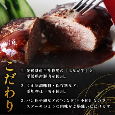 ふるさと納税 西予市 <合挽ハンバーグセット 10個(1個150g)> セット ハンバーグ はんばーぐ 合挽 |  | 03