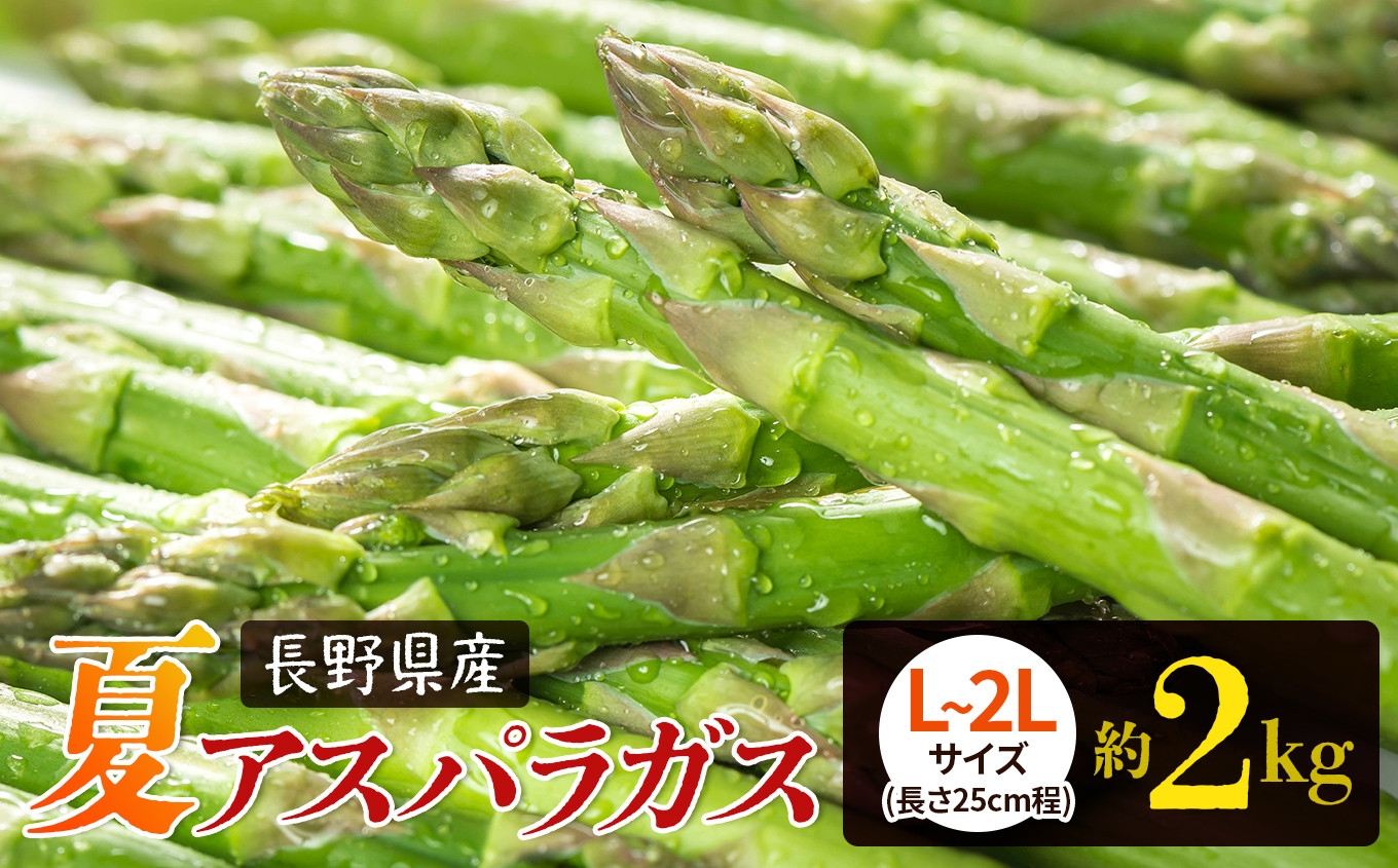 
            夏 アスパラガス 約2kg 農家直送 ハウス栽培（路地栽培あり）| 野菜 やさい ヤサイ 根物 ねもの ネモノ アスパラ あすぱら アスパラガス あすぱらがす 夏 旬 出荷 長野県 木島平村 ハウス栽培 路地栽培 農家 直送
          
