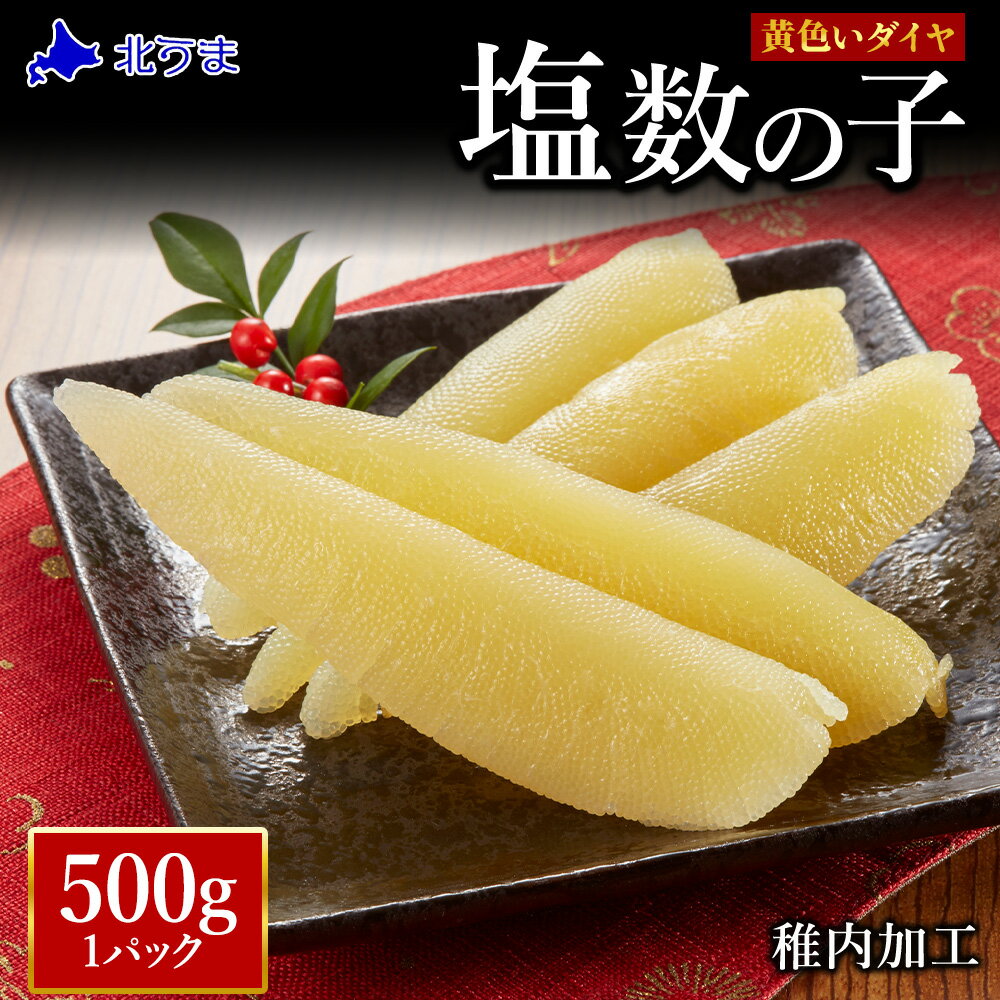【ふるさと納税】【黄色いダイヤ】 はじける「パリッ」は高級の証 塩数の子 500g×1個かずのこ カズノコ 数の子 塩数の子 魚卵 海鮮 海産物 北海道ふるさと納税 稚内 ふるさと納税 北海道 【配送不可地域：離島・沖縄県】