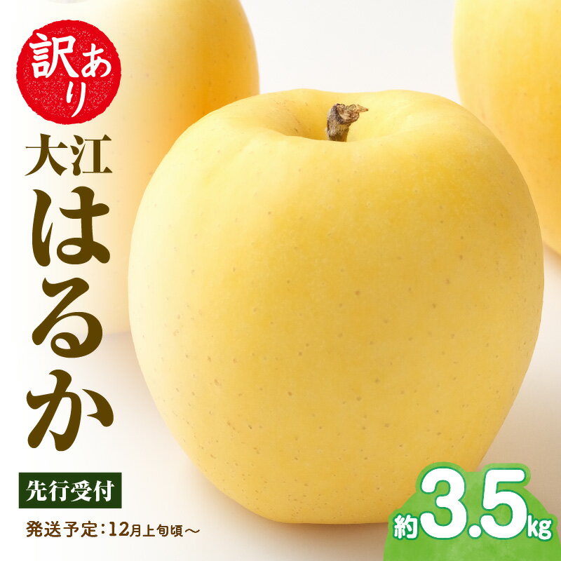 【ふるさと納税】 《先行受付》訳あり 大江はるか約3.5kg【2025年12月上旬〜発送予定】【大江町産・山形りんご・りんご専科 清野】 リンゴ 林檎 フルーツ 果物 産地直送 レビューキャンペーン