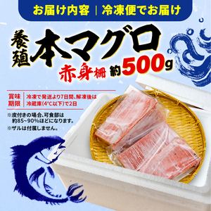 訳あり 本まぐろ 赤身 約500g本まぐろ 大とろ 中とろ 赤身 詰合せ 約600g (まぐろ マグロ 中トロ 鮪 まぐろ マグロ 中トロ まぐろ マグロ 中トロ さしみ 刺身 まぐろ マグロ 刺し身