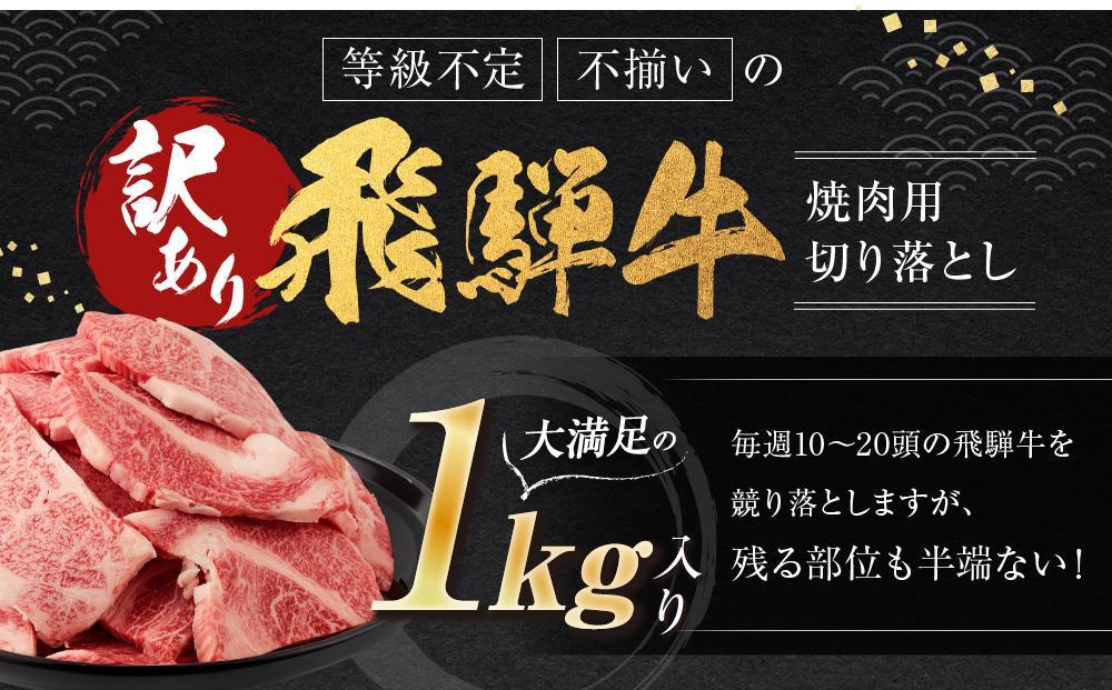 【4月配送】訳あり 飛騨牛焼肉用切り落とし たっぷり1kg （不揃い・大容量）| 飛騨牛 肉 おいしい 飛騨高山 切り落とし 小分け BBQ 正月 肉の匠家 BV027VC04