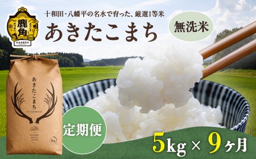 《 先行予約 》 【 定期便 】令和8年産 あきたこまち 無洗米 5kg × 9ヶ月 合計 45kg 【トライズ】 ●2026年10月下旬発送開始 米 精米 白米 単一原料米 国産米 ブランド米 白米 もっちり 県産米 お米 こめ コメ 秋田県 あきた 鹿角市 鹿角 送料無料