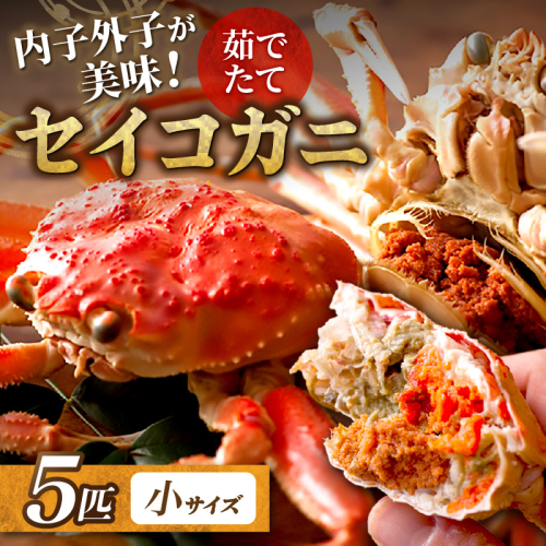 【蟹の匠 魚政】内子外子が美味! 茹でたて セイコガニ（セコ蟹）（香箱ガニ）（こっぺ）小サイズ 5匹セット＜せいこがに せこがに 香箱かに せいこかに せこかに コッペ こっぺがに 茹でたて 内子 外子 せこ蟹＞