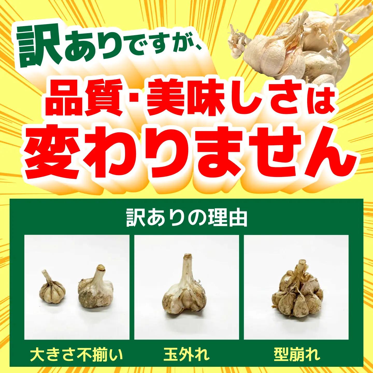 訳あり 植田ファームの自然乾燥平戸にんにく700g 〈2026年6月10日?2026年10月31日〉 高知県 土佐市【株式会社植田ファーム】[BQAT005]