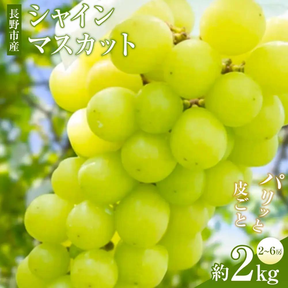 矢島農園　 長野市産 シャインマスカット2kg(2～6房)【2026年9月下旬頃～発送予定】 |シャインマスカット ぶどう フルーツ