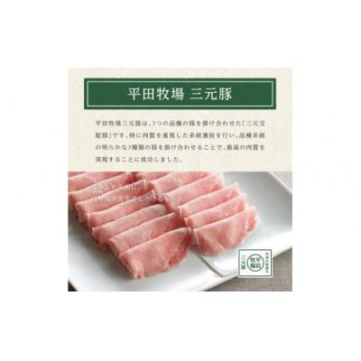 ふるさと納税 酒田市 【平田牧場】日本の米育ち◆三元豚 肩ロース塩麹漬け　100g×12パック |  | 03